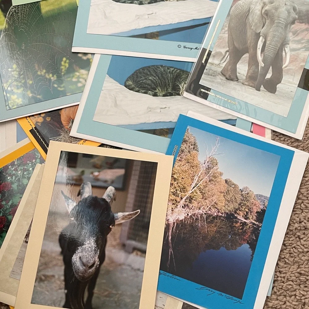 19 Handmade Nature Blank Cards‎